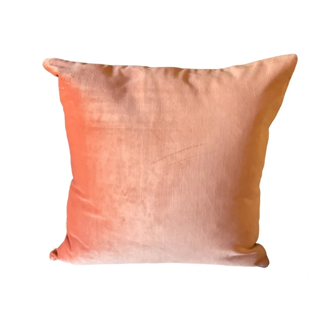 Custom Accent Pillow Cover 23.5